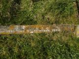 image of grave number 312833
